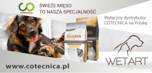 www.cotecnica.pl